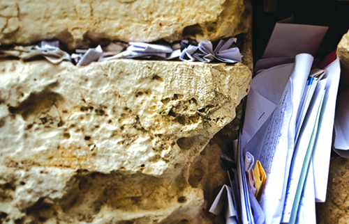 Tisha B'Av with Ohr Naava