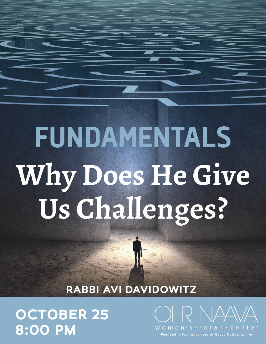 Fundamentals: 